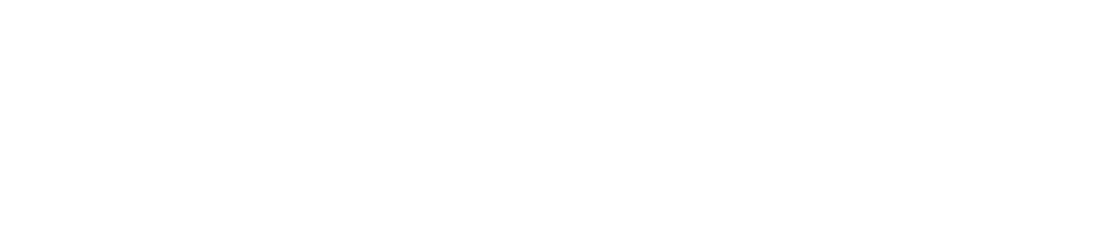 The Villages Logo