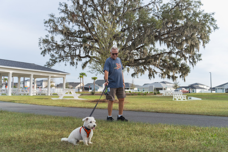 middleton-lake-harlow-park-dog-walking-3